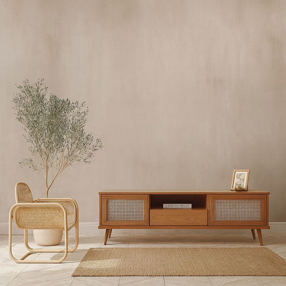 Japanese TV Unit